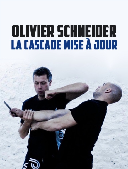 Olivier Schneider, la cascade mise à jour