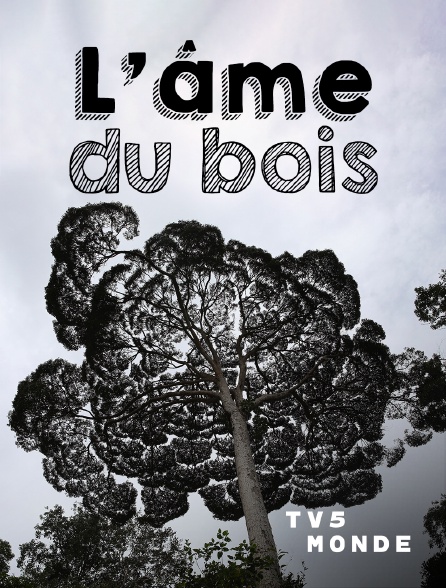 TV5MONDE - L'Âme du bois