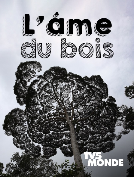 TV5MONDE - L'Âme du bois