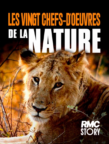 RMC Story - Les vingt chefs-d'œuvre de la nature