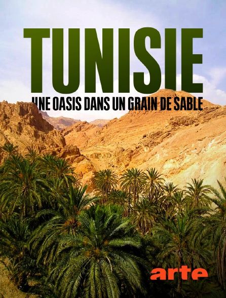 Arte - Tunisie, une oasis dans un grain de sable