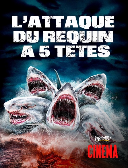 Molotov Channels Cinéma - L'attaque du requin à cinq têtes