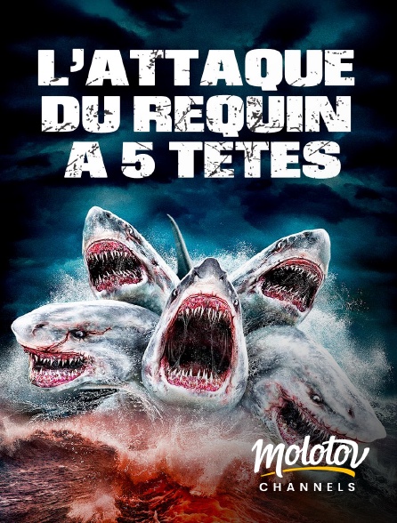 Molotov Channels - L'attaque du requin à cinq têtes