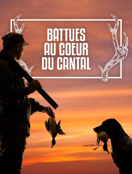 Battues au coeur du Cantal