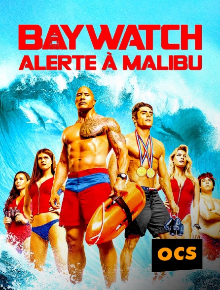 OCS - Baywatch : alerte à Malibu