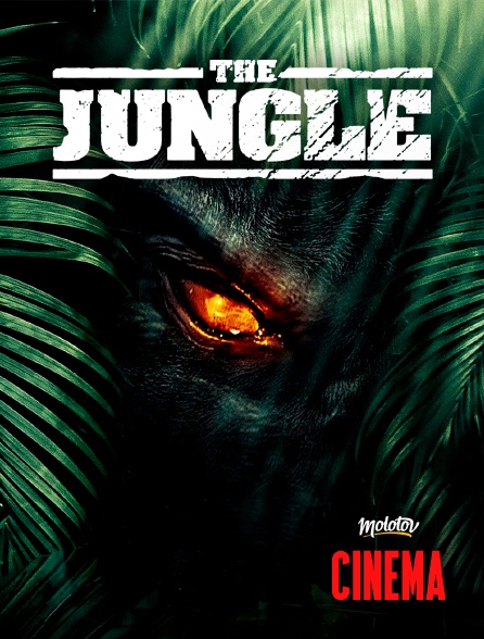 Molotov Channels Cinéma - The jungle