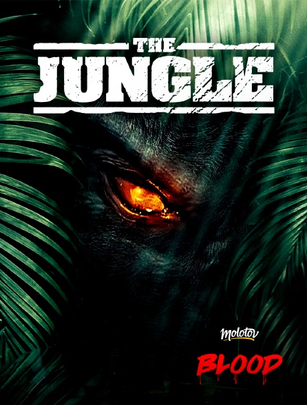 Molotov Channels BLOOD - The jungle