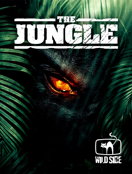Wild Side TV - The jungle