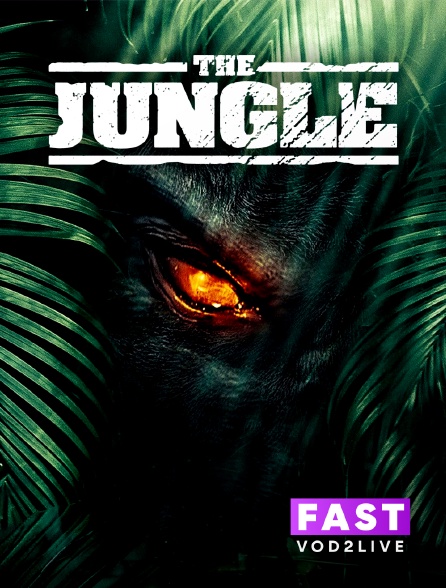 Molotov Channels TEST FAST - The jungle