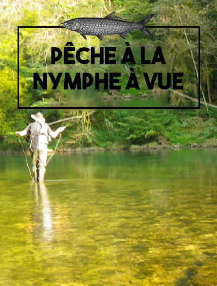 Pêche à la nymphe à vue