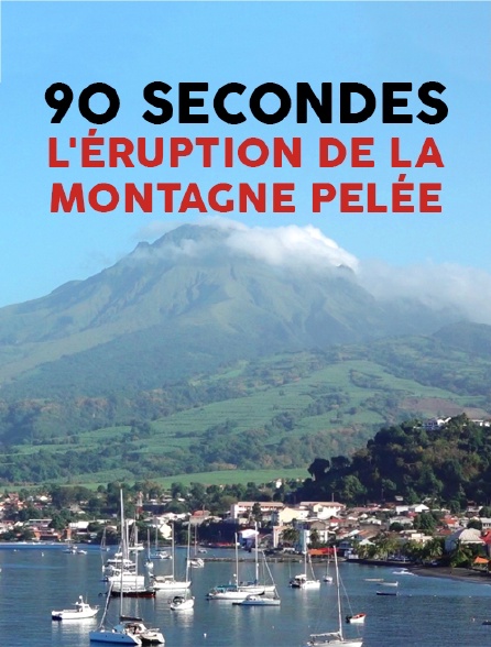 90 secondes : l'éruption de la montagne Pelée