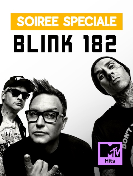 MTV Hits - Soirée Spéciale Blink 182