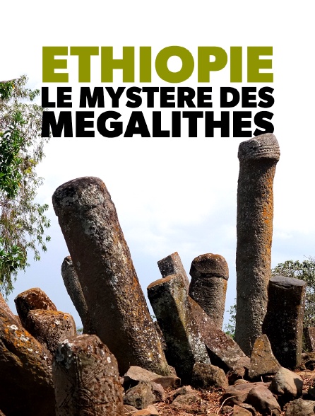 Ethiopie, le mystère des mégalithes