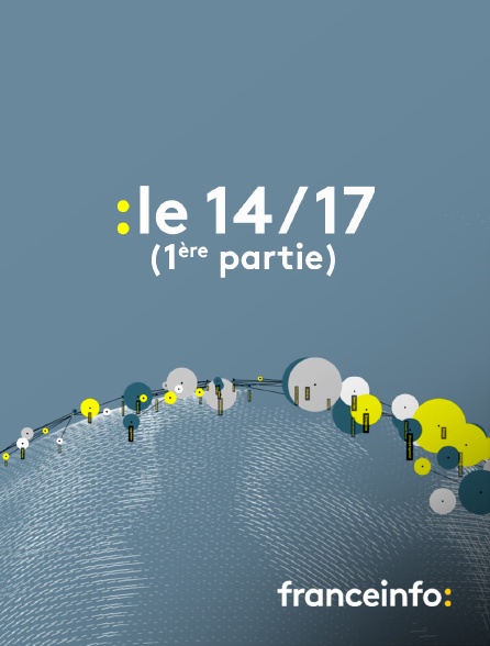 franceinfo: - Le 14/17 (1ère partie)