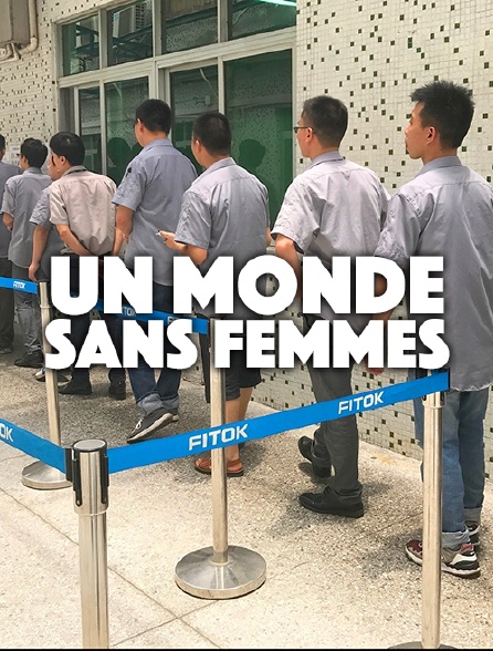 Un monde sans femmes