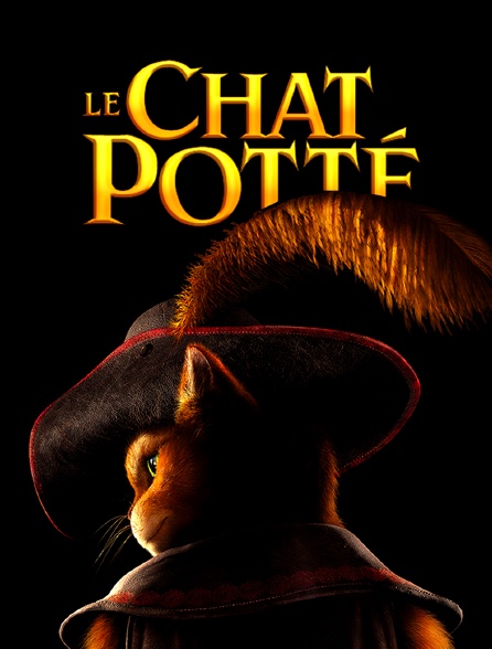 Le chat Potté