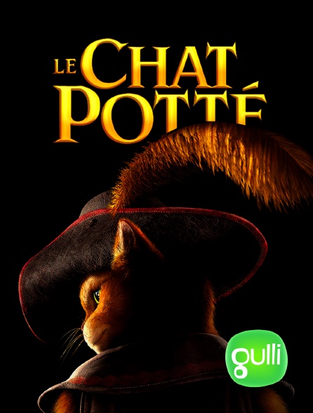 Gulli - Le chat Potté