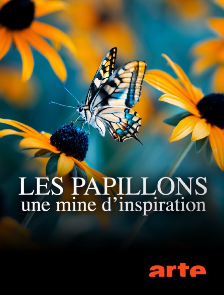 Arte - Les papillons, une mine d'inspiration