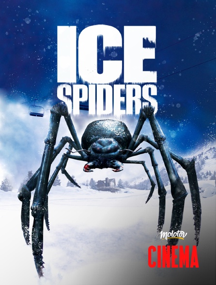 Molotov Channels Cinéma - Ice Spiders