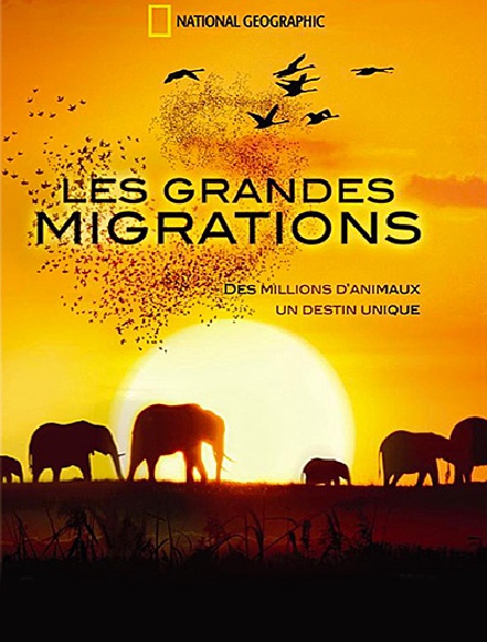 Les grandes migrations