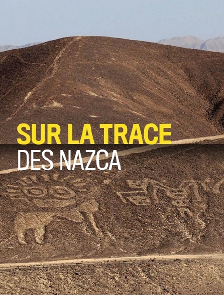 Sur la trace des Nazca