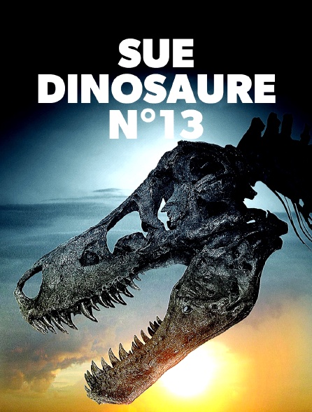 Sue, dinosaure n°13