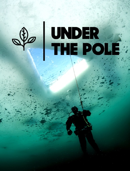 Under the Pole
