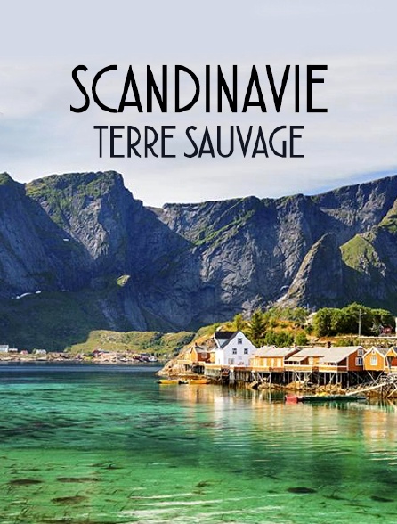 Scandinavie, terre sauvage