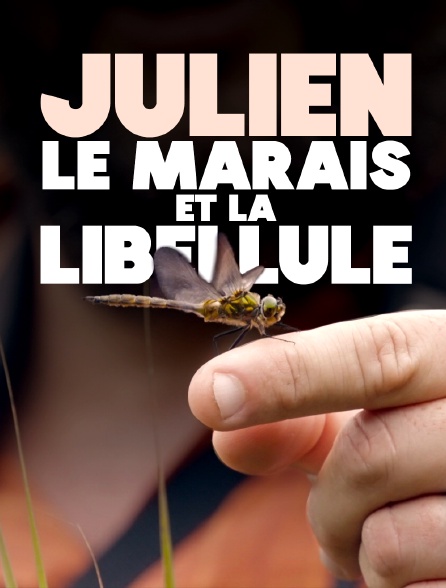 Julien, le marais et la libellule