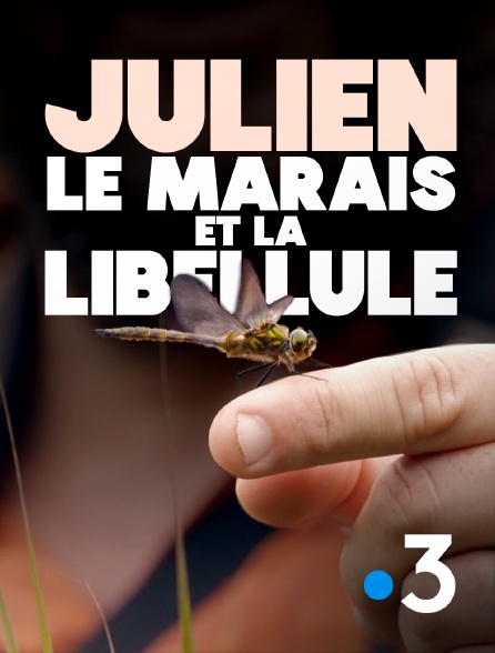 France 3 - Julien, le marais et la libellule