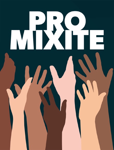 Pro mixité