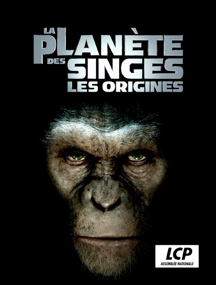 LCP 100% - La planète des singes : les origines