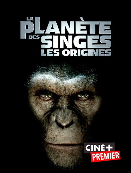 Ciné+ Premier - La planète des singes : les origines