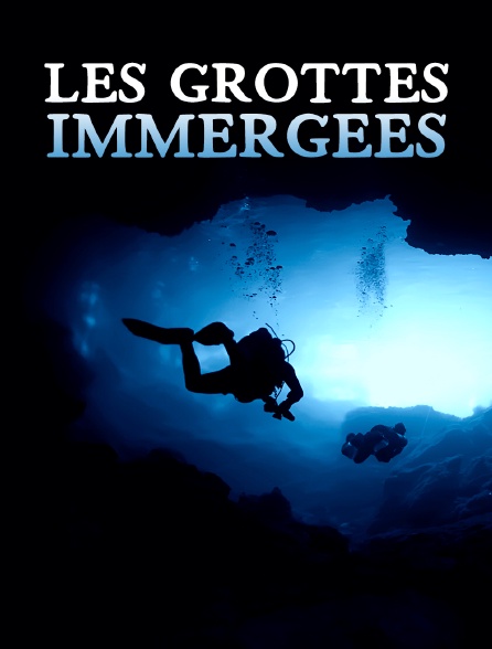 Les grottes immergées : Labyrinthes des profondeurs