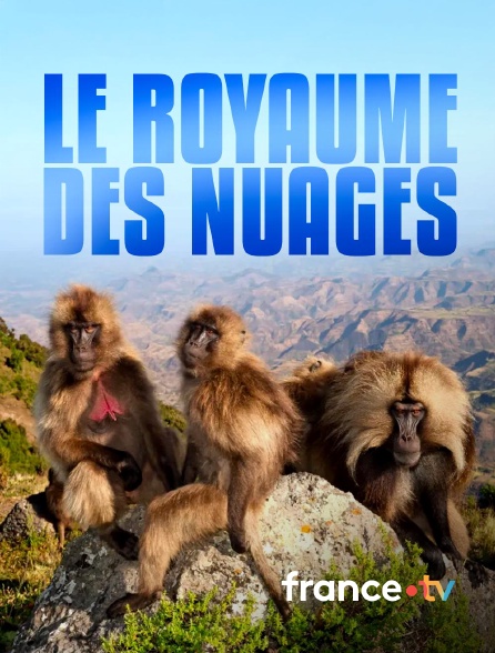 france.tv - Le royaume des nuages en replay