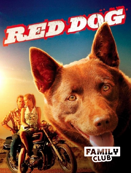 Family Club - Red Dog