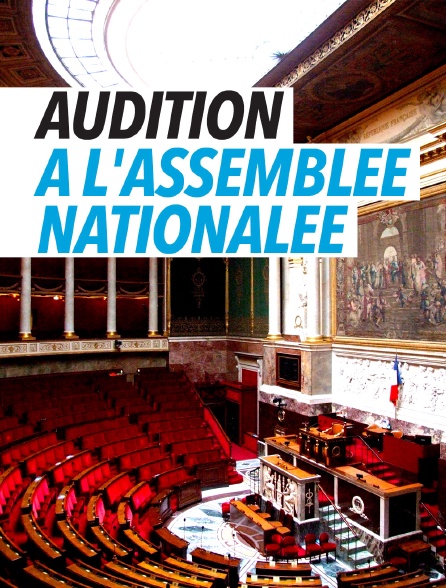 Audition à l'Assemblée nationale