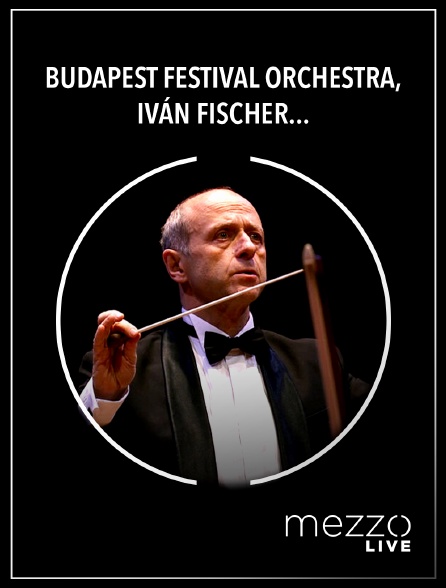 Mezzo Live HD - Budapest Festival Orchestra, Iván Fischer, Nicolas Namoradze : Brahms