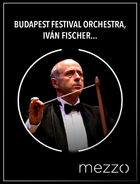 Mezzo - Budapest Festival Orchestra, Iván Fischer, Nicolas Namoradze : Brahms