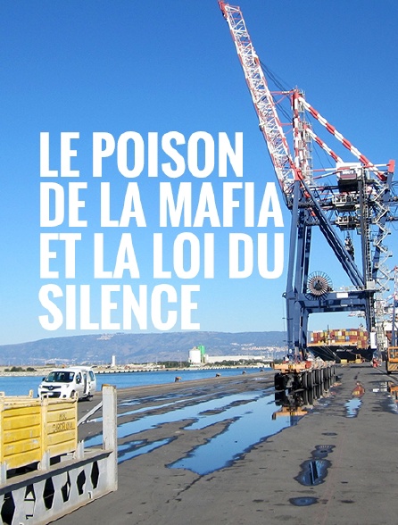 Le poison de la mafia et la loi du silence