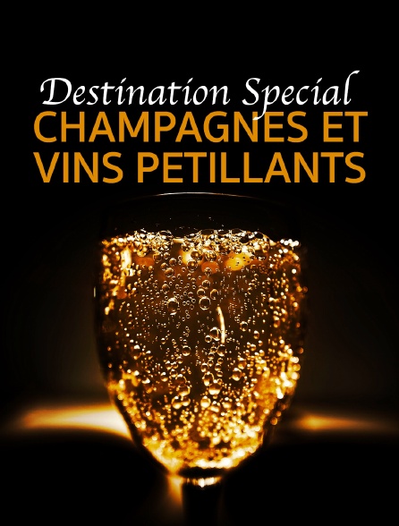 Destination Special : Champagnes Et Vins Petillants