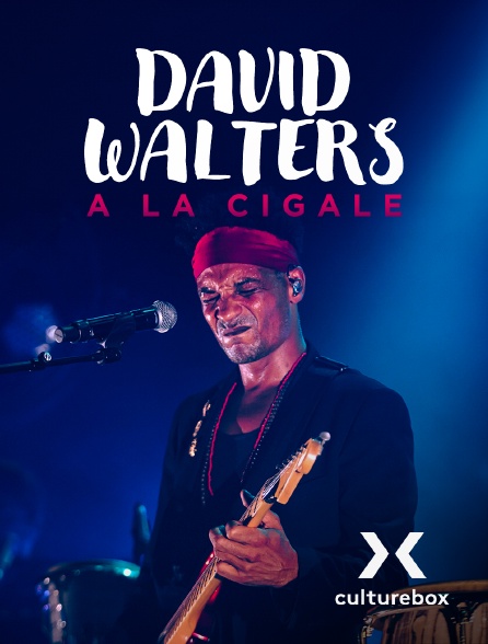 Culturebox - David Walters à La Cigale