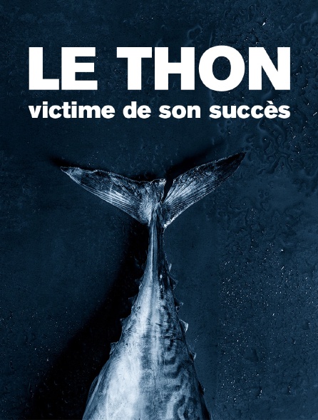 Le thon, victime de son succès