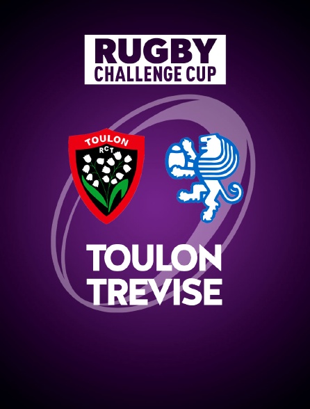Rugby - Challenge Cup : Toulon / Trévise