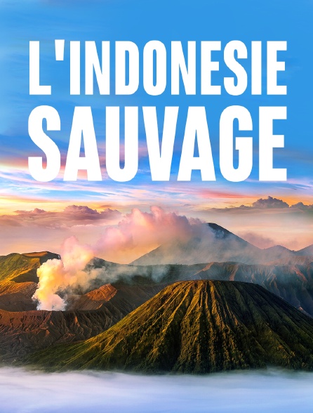 L'Indonésie sauvage