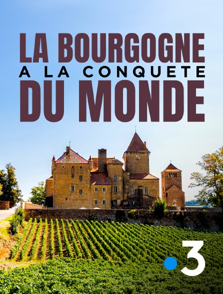 France 3 - La Bourgogne à la conquête du monde