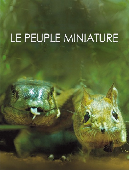 Le peuple miniature