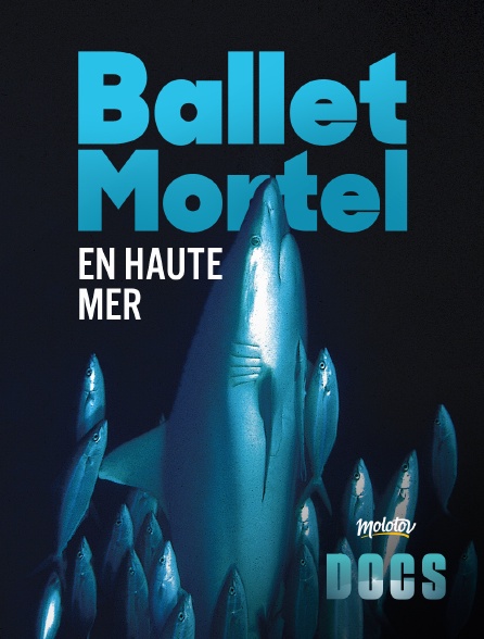 Molotov Channels Docs - Ballet mortel en haute mer