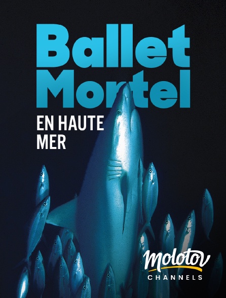 Molotov channels - Ballet mortel en haute mer