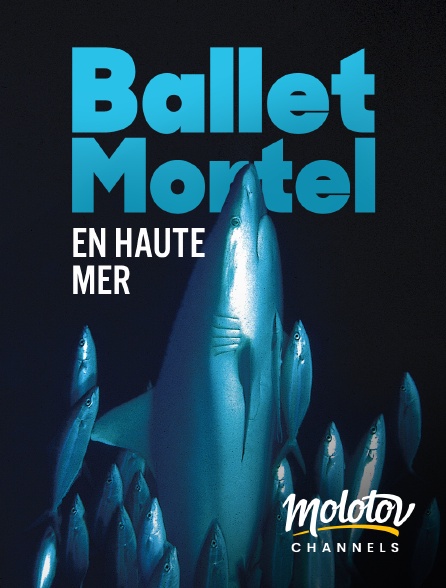 Mango - Ballet mortel en haute mer